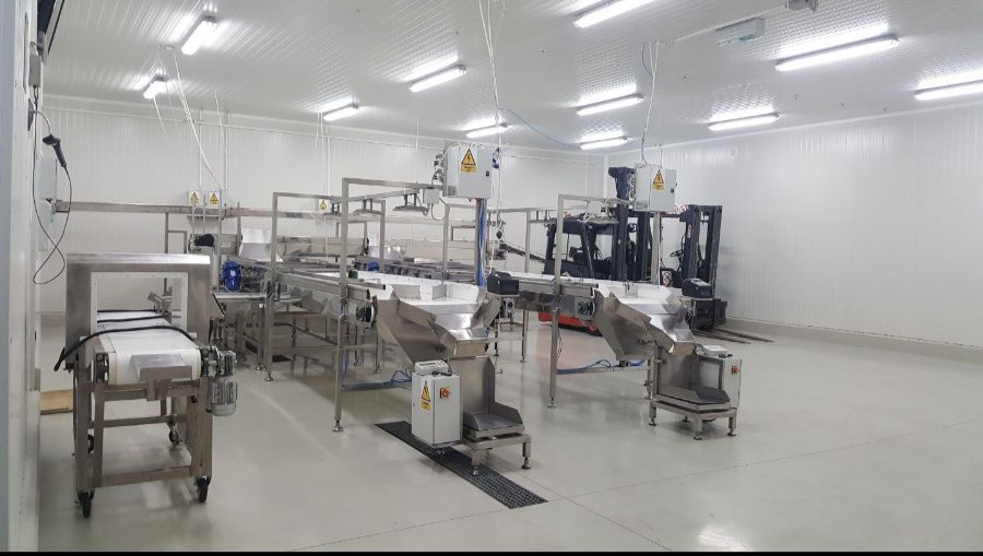 Frozen fruit processing