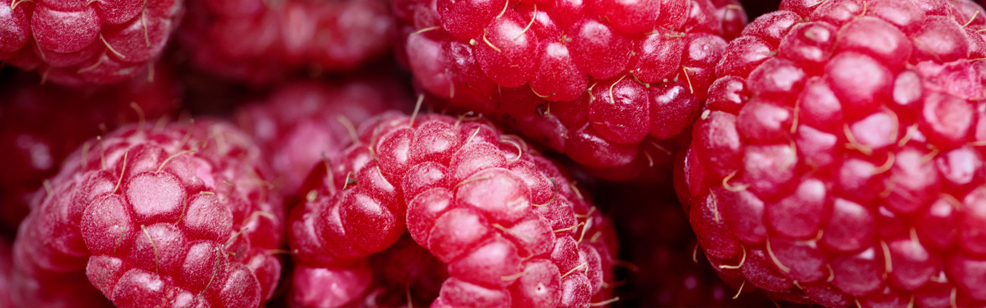 IQF fruit - deep-frozen raspberry