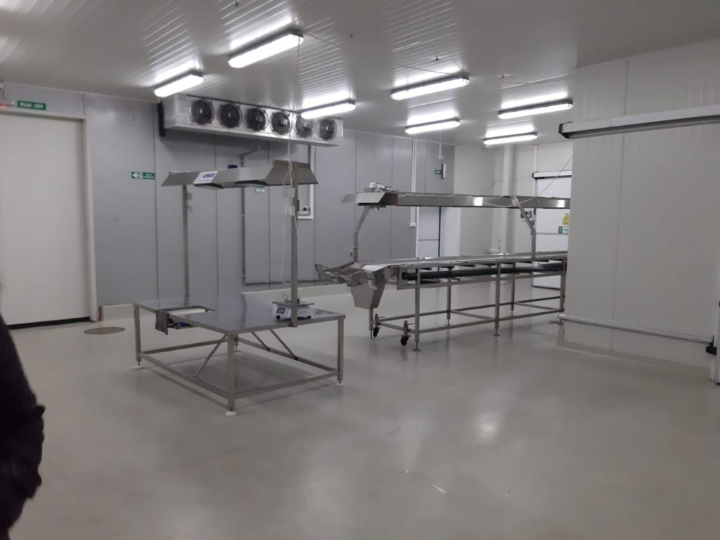 Deep frozen fruit processing equipment - conveyors